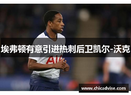埃弗顿有意引进热刺后卫凯尔-沃克